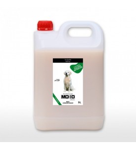 Champú Golden Retriever