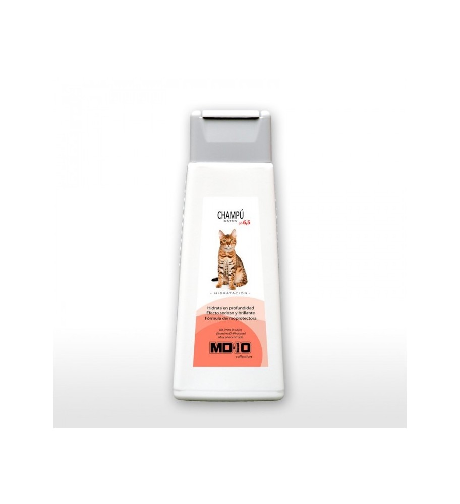 Champú Pelo Hidratación