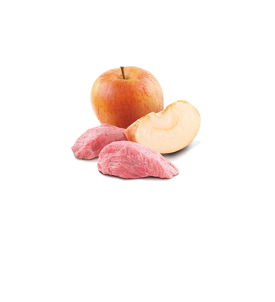 Comida húmeda de jabalí y manzana