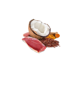 Piel y pelaje Pato comida húmeda