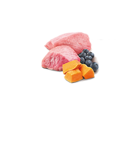 Comida húmeda para cachorros de cordero