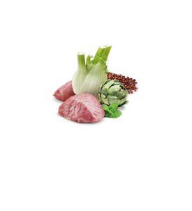 Digestión alimentos húmedos