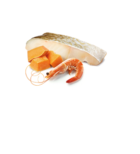 Comida húmeda para gatitos de bacalao