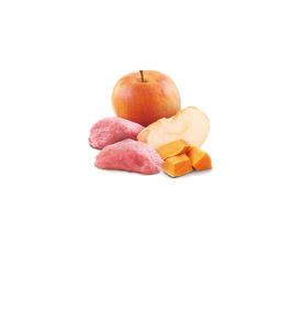 Comida húmeda de jabalí