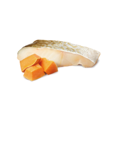 Comida húmeda para cachorros de bacalao y calabaza