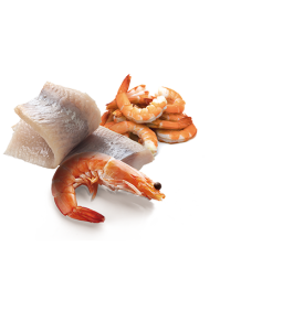 Comida húmeda de arenque y camarones