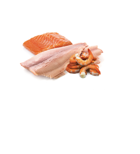 Comida húmeda de trucha y salmón