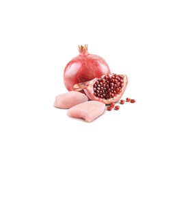 Alimento húmedo para cachorros de pollo y granada