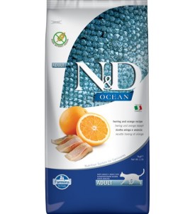 Arenque & Naranja Adulto