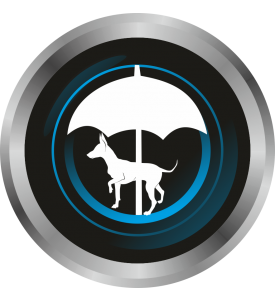 Game Dog Funcional e Inmunidad