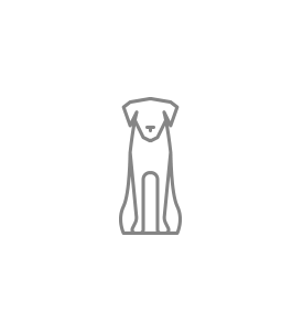 Neo breeder Puppy-Lamb 12kg