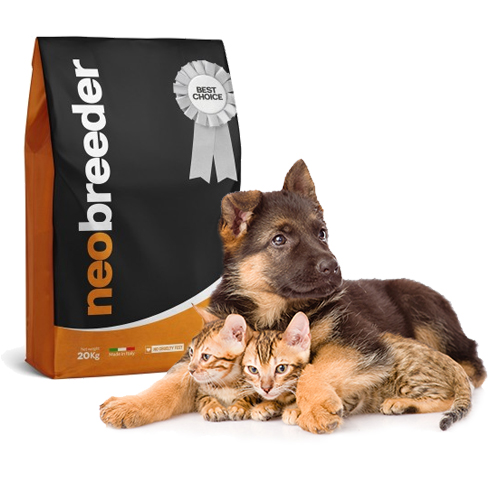 Nueva Gama de Piensos Criadores