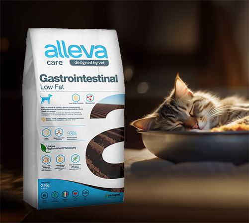 ¡Descubre Alleva Care: Nutrición Holística para el Bienestar Integral de tu Mascota!