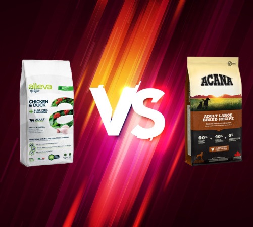 Acana Adult Large Breed vs. Alleva Holistic Pollo & Pato + Aloe vera & Ginseng