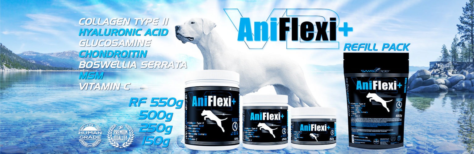 AniFlexi-V2-RF_edited-1536x499