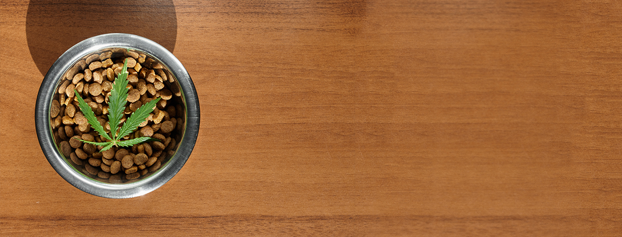 cannabis-piensos-mascotas-piensos